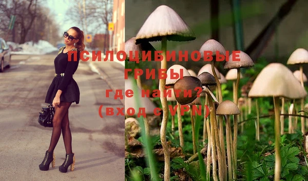 мет Абдулино