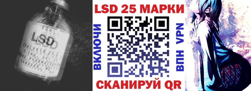 дарнет шоп  Курлово  LSD-25 экстази кислота 